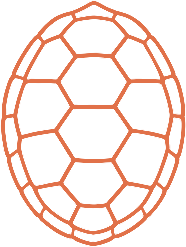 Turtle shell mark in Atardecer on Pacífico blue